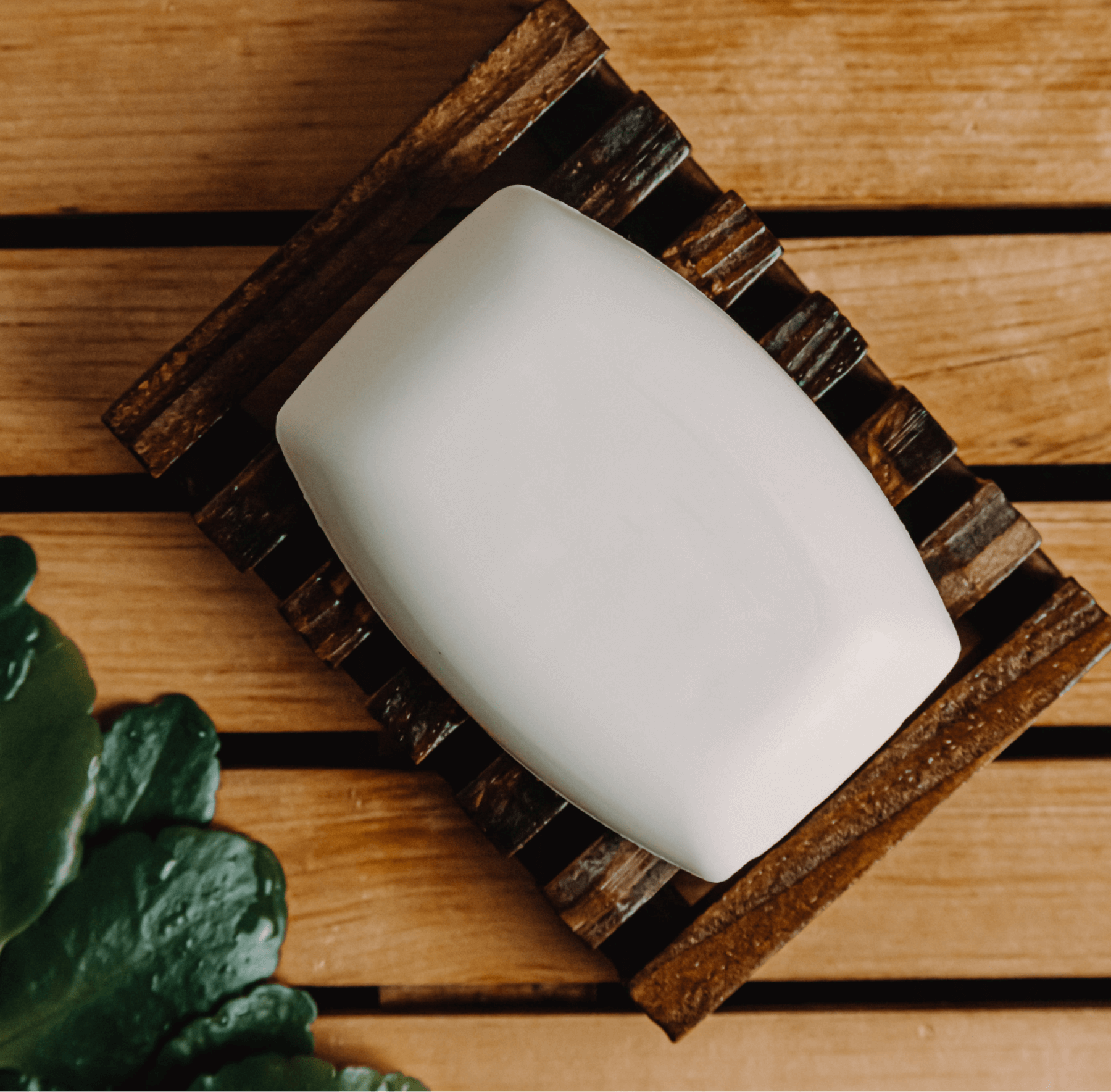 Coco soap